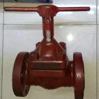 شیر فلکه آمریکایی