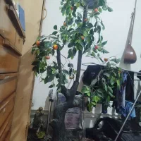 درختچه مصنوعی