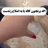 برنج ایرانی طارم هاشمی بدونه واسطه گران نخری|عمده‌فروشی|تهران, آرژانتین|دیوار