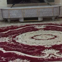 ست میزوجاکفشی