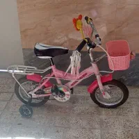 دوچرخه 14 دخترانه با کمکی