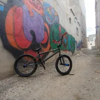 دوچرخه بی ام ایکس bmx جاینت