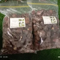 خرما برحی خوزستان درشت و خوشمزه|خوردنی و آشامیدنی|قم, پردیسان|دیوار