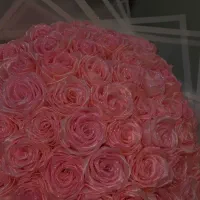 رز جاودان و بوکت پروانه