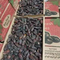 خرماربی وزرداموجود|خوردنی و آشامیدنی|قائم‌شهر, |دیوار