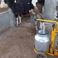 شیردوش|ماشین‌آلات صنعتی|گرمی, |دیوار