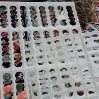 شانه جوجه کشی بلدرچین|لوازم جانبی حیوانات|مشهد, قائم|دیوار