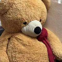 عروسک خرس|اسباب‌‌بازی|شیراز, زرهی|دیوار