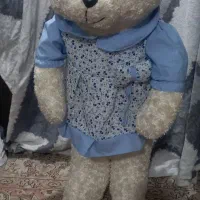 خرس نو و تمیز