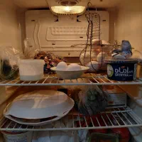 یخچال و فریزر برند سایوان موتور سامسونگ کره ای|یخچال و فریزر|مشهد, الهیه|دیوار