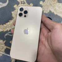 ایفون 12 pro گلد