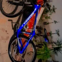 دوچرخه|دوچرخه، اسکیت، اسکوتر|پردیس, فاز ۸|دیوار