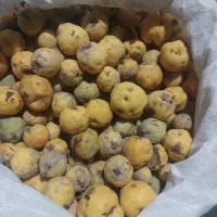 میوه جنگلی (کلوه)