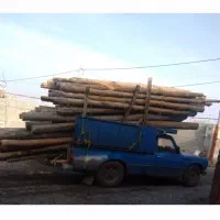 انواع چوب خریدارم