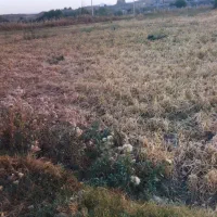 اجاره زمین کشاورزی به جاده اصلی زنجان نیک پی|اجارهٔ دفتر صنعتی، کشاورزی، تجاری|زنجانرود, |دیوار