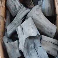 ذغال بیدکویتی