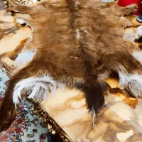 پوست طبیعی بز|صنایع دستی و سایر لوازم تزئینی|تبریز, |دیوار