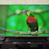 تلویزیون ۴۹ اینچ LG ال ای دی 49LF55000GI|تلویزیون و پروژکتور|ساوه, |دیوار