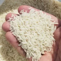 برنج شمال