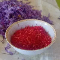 بهترین زعفران مشهد با عیار بالا|خدمات پذیرایی، مراسم|میان ولایت, |دیوار