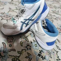 کفش والیبال