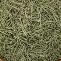 رزماری خشک و تازه کیلویی