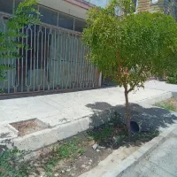 فروش مغازه ۳۵ متری