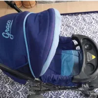 کالسکه دلیجان