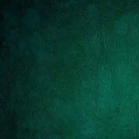 طراح وب اپ/طراح سایت