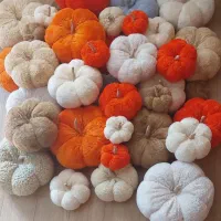 کدو تدی تزئینی