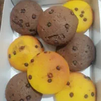 قند و نبات طعم دار ستاره|خوردنی و آشامیدنی|تربت‌حیدریه, ترمینال|دیوار