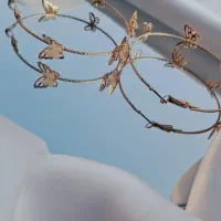 بدلیجات و اکسسوری