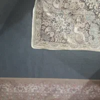 دو جور موکت نو و در حد نو