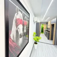 60متر-طبیعی-در-قلب-هیاهو