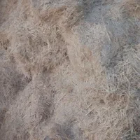 فروش ۴تن کاه گندم|حیوانات مزرعه|مرودشت, رودبال|دیوار