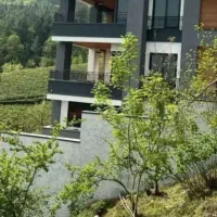 حیاط-290-شمالی-شرقی-ولیعصر