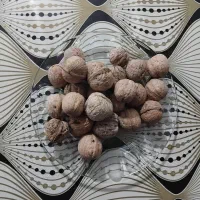 گردو فروشی قیمت توافقی