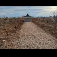 انباری-اجاره-ای