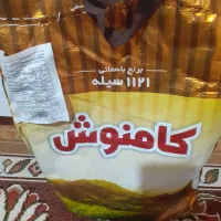 فروش برنج|عمده‌فروشی|راور, |دیوار