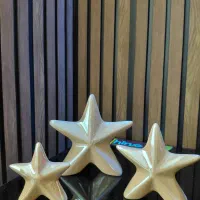 ستاره تزیینی