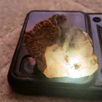 گوهر سنگ با رگه های شجر بسیار زیبا