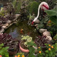 فروش سهام بازار گل وگیاه سپاهان(غرفه)(خصوصی)|فروش دفتر صنعتی، کشاورزی، تجاری|اصفهان, درب کوشک|دیوار