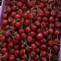 گیلاس تک دانه