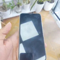11 پرومکس