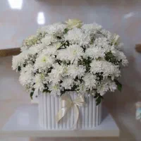 دیزاین وگل آرایی|خدمات پذیرایی، مراسم|سنندج, |دیوار