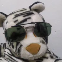 عینک خلبانی