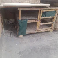 قفس چوبی|لوازم جانبی حیوانات|شاهینشهر, شهرک ردانی پور|دیوار