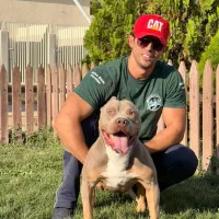 آمریکن پیتبول با کیفیت خارق‌العاده