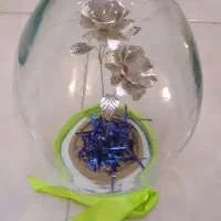 گل رز دوقلو نقره ای|گل و گیاه طبیعی|تبریز, |دیوار