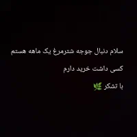 به عکس توجه کنید